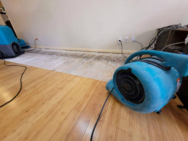 Professional Flood Damage Cleanup technician working in Delhi, CA